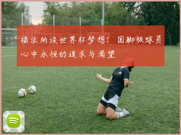 福法纳谈世界杯梦想：国脚级球员心中永恒的追求与渴望
